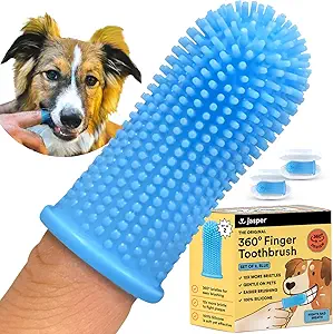 Pet Toothbrush